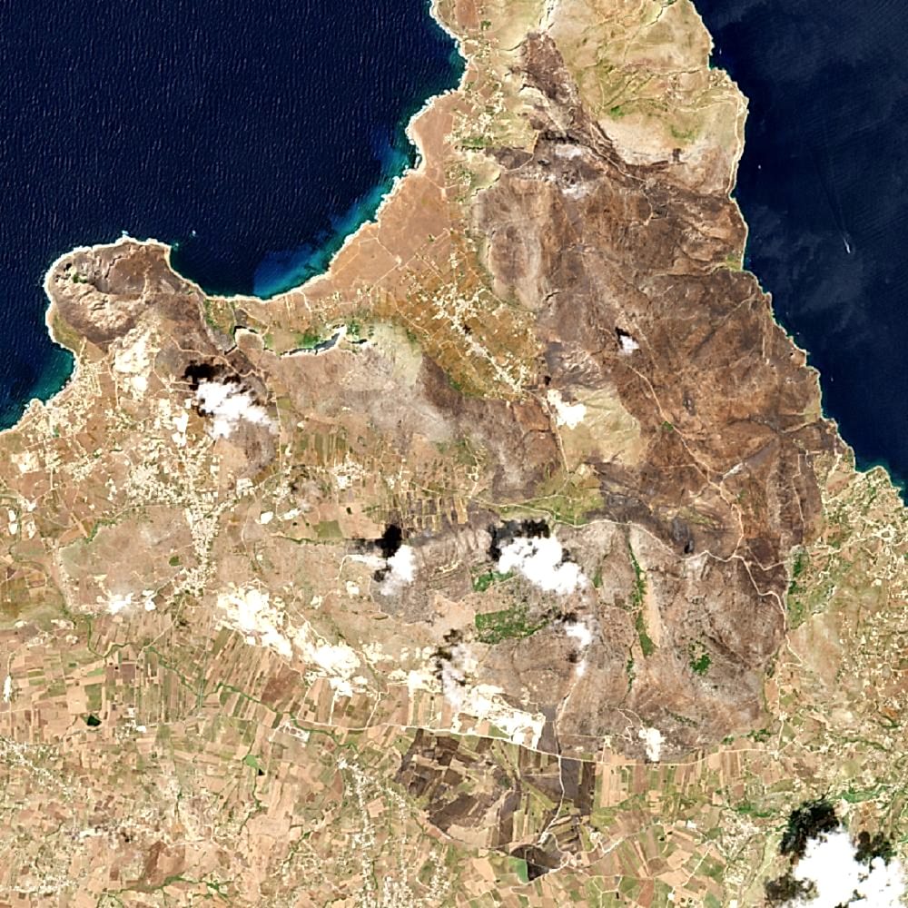 Burning Forests: Tools for Tracking and Reporting Wildfire Damage